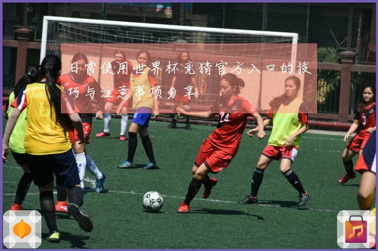 日常使用世界杯竞猜官方入口的技巧与注意事项分享