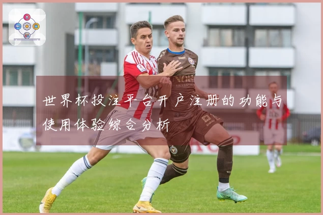 世界杯投注平台开户注册的功能与使用体验综合分析